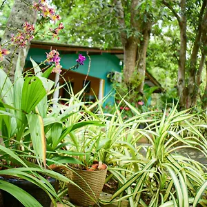 Palitha Sri Lanka